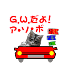 ゴージャスな猫の季節のあいさつ（個別スタンプ：7）