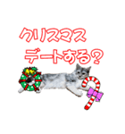 ゴージャスな猫の季節のあいさつ（個別スタンプ：15）