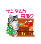ゴージャスな猫の季節のあいさつ（個別スタンプ：23）