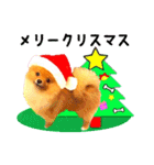 ぷーちゃんのクリスマスとお正月（個別スタンプ：7）