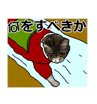 メリークリスマス私の赤ちゃん姉妹猫（個別スタンプ：7）