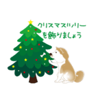 かわいい柴犬のクリスマス（個別スタンプ：3）