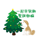 かわいい柴犬のクリスマス（個別スタンプ：4）
