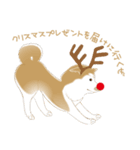 かわいい柴犬のクリスマス（個別スタンプ：9）