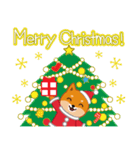 柴犬「ムサシ」16 クリスマス（個別スタンプ：1）