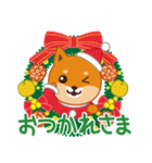 柴犬「ムサシ」16 クリスマス（個別スタンプ：3）