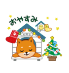 柴犬「ムサシ」16 クリスマス（個別スタンプ：8）