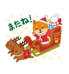 柴犬「ムサシ」16 クリスマス（個別スタンプ：12）