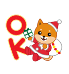 柴犬「ムサシ」16 クリスマス（個別スタンプ：24）