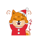 柴犬「ムサシ」16 クリスマス（個別スタンプ：28）