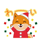 柴犬「ムサシ」16 クリスマス（個別スタンプ：33）