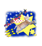 茶トラ子猫のスタンプ（個別スタンプ：5）