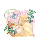 茶トラ子猫のスタンプ（個別スタンプ：8）