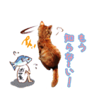 茶トラ子猫のスタンプ（個別スタンプ：13）