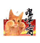 茶トラ子猫のスタンプ（個別スタンプ：14）