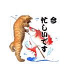 茶トラ子猫のスタンプ（個別スタンプ：20）