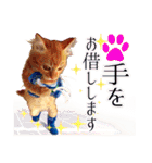 茶トラ子猫のスタンプ（個別スタンプ：22）