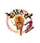 茶トラ子猫のスタンプ（個別スタンプ：26）