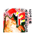 茶トラ子猫のスタンプ（個別スタンプ：30）