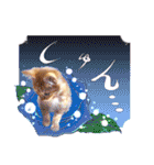 茶トラ子猫のスタンプ（個別スタンプ：31）