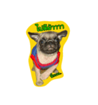 i pug（個別スタンプ：5）