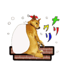 かわいい柴系雑種犬「茶々」のクリスマス（個別スタンプ：2）