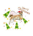 かわいい柴系雑種犬「茶々」のクリスマス（個別スタンプ：5）