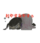 Amuka's京都弁（個別スタンプ：13）