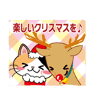 三毛猫ちゃん！ クリスマスバージョン♪（個別スタンプ：10）