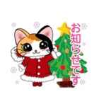 三毛猫ちゃん！ クリスマスバージョン♪（個別スタンプ：17）