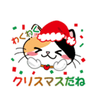 三毛猫ちゃん！ クリスマスバージョン♪（個別スタンプ：20）