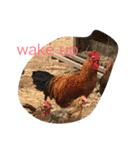 animal land #1（個別スタンプ：2）