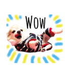 ほのぼの犬 マロン（個別スタンプ：7）