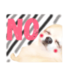 ほのぼの犬 マロン（個別スタンプ：11）