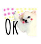 ほのぼの犬 マロン（個別スタンプ：13）