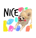 ほのぼの犬 マロン（個別スタンプ：14）