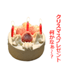 クリスマスケーキ（個別スタンプ：10）