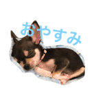 うにのスタンプ vol.1（個別スタンプ：2）