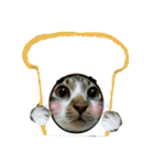 meowの農場（個別スタンプ：1）