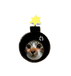 meowの農場（個別スタンプ：2）