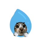 meowの農場（個別スタンプ：3）