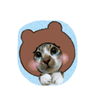 meowの農場（個別スタンプ：4）