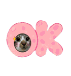 meowの農場（個別スタンプ：5）