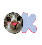 meowの農場（個別スタンプ：6）