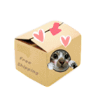 meowの農場（個別スタンプ：8）