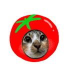 meowの農場（個別スタンプ：9）
