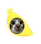 meowの農場（個別スタンプ：10）