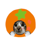 meowの農場（個別スタンプ：11）