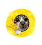 meowの農場（個別スタンプ：18）