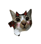 meowの農場（個別スタンプ：27）